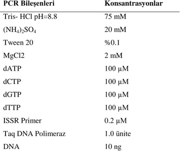 Çizelge 3.4 RAPD– PCR Reaksiyonunda Kullanılan Kimyasallar 