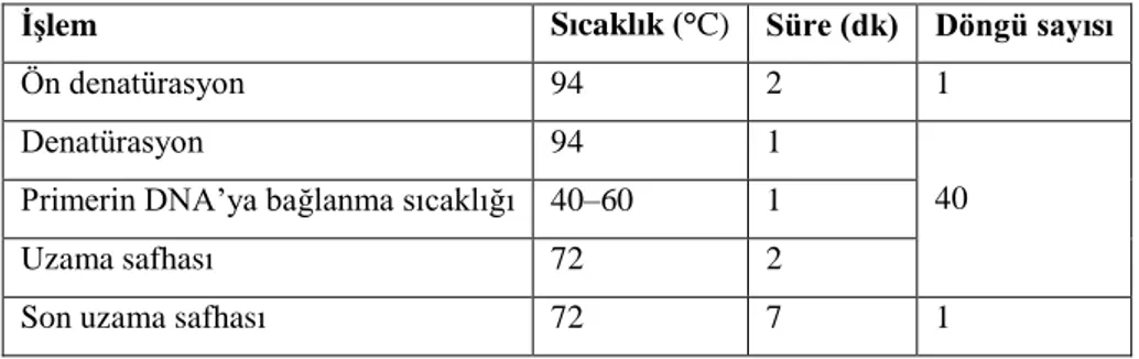 Çizelge 3.6 ISSR Tekniğinin Uygulanmasında PCR, Sıcaklık ve Döngü KoĢulları 