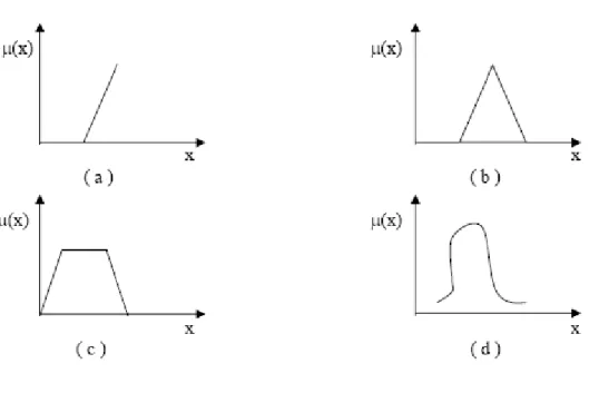 Şekil 3.4 Çeşitli üyelik fonksiyonları 