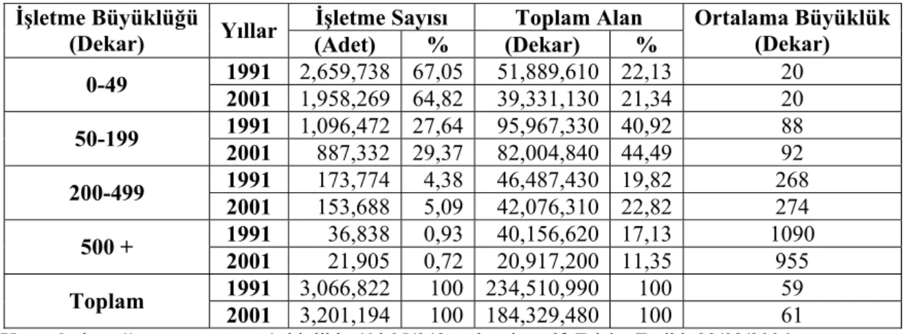 Tablo 19: Türkiye’de Bulunan İşletme Sayıları 