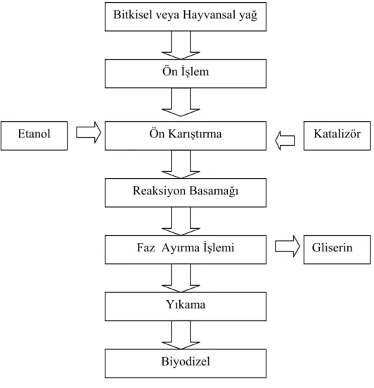 Şekil 2.2.4. Biyodizel Üretim Şeması 