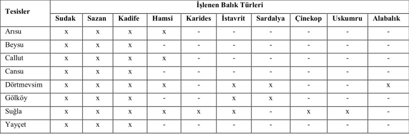 Tablo 4.4 Konya İlinde Faaliyet Gösteren Su Ürünleri İşleme Tesislerinde         İşlenen Balık Türleri