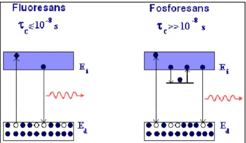 Şekil 2.6. Floresans ve fosforesansın oluşum süreleri. 