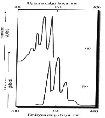 Şekil 2.8. Alkol içerisinde 1ppm antrasenin floresans spektrumları:  (a) uyarma   spektrumu,  (b) emisyon spektrumu