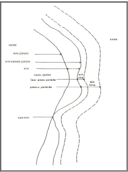 Şekil 3.2. Kıyı Çizgisi, Kıyı, Kıyı Kenar Çizgisi, Dar Kıyı, Sahil Şeridi Tanımlarını Gösterir Kroki (3086 Sayılı Kıyı Kanunu)