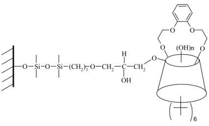 Şekil 1.23. p-tert-bütilkaliks[6]aren-1,4-benzocrown-4 bağlı silika jel durgun fazı 
