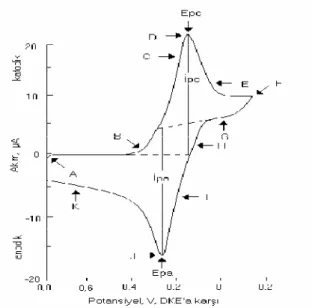 Şekil 2.8. Dönüşümlü voltamogram örneği (Skoog ve ark., 1998) 