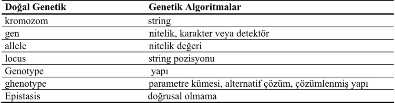 Tablo 2.2. Genetik Algoritma Terminolojisi 