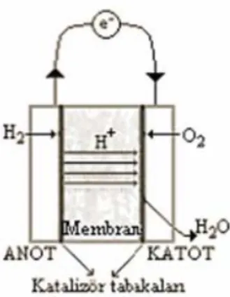 Şekil 1.2  Proton değiştirici membranlı yakıt hücresi (Carrette ve ark. 2000). 