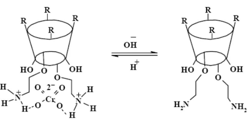 Şekil 1.11  Kaliks[4]arenin alkilamonyum türevinin kromat anyonu ile koleksleşmesi 