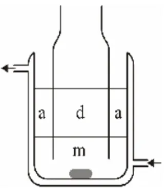 Şekil 3.2’de verilen deney düzeneği kullanılarak gerçekleştirilen deneyde, membran  faz olarak, diklormetan içinde çözünmüş 5.0-50.0x10 -5  M arasındaki taşıyıcı  çözeltisinden 50 mL alınarak sistemin alt kısmına konuldu