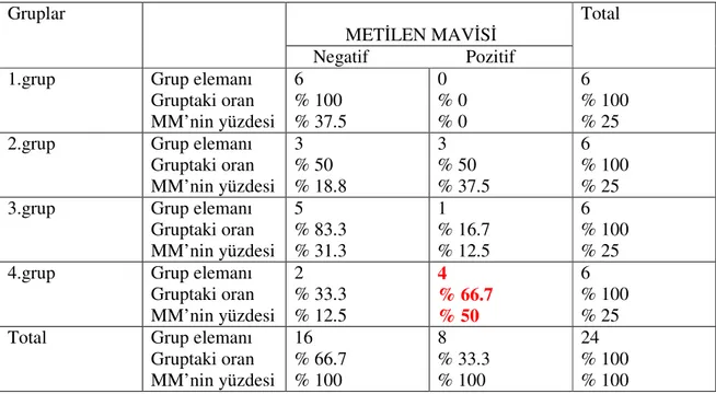 Tablo 2: Gruplara göre MM (Metilen Mavisi) pozitiflik oranları 