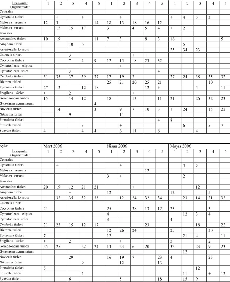 Tablo 4. 2. Diyatome Türlelerinin Bollukları