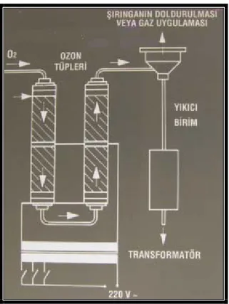 Şekil 2: Medikal ozon jeneratörünün işleyiş ilkesi (Renate Viebahn-Haensler,  Ozonun tıpta kullanımı, İngilizce 4