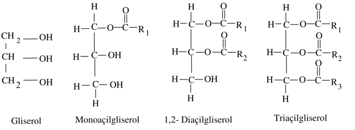 Şekil 2.1. Gliserol ve gliserolün esterleri 