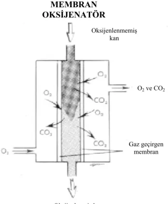 Şekil 4. Membran oksijenatörlerin kesitsel görünümü (Nosé Y. Manuel on artificial organs