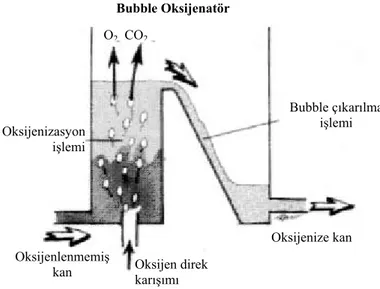 Şekil 5. Bubble oksijenatörlerin kesitsel görünümü (Nosé Y. Manuel on artificial organs