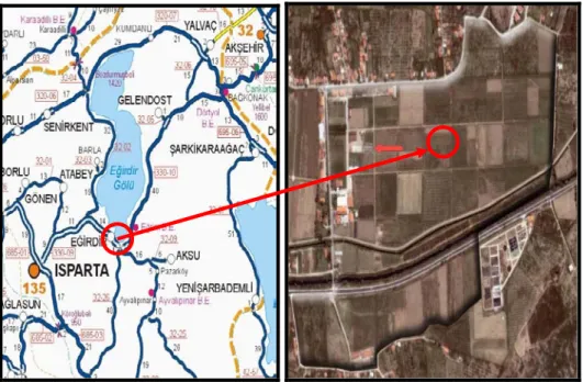 Şekil 3.1. Eğirdir ilçesi ve deneme alanının konumu 