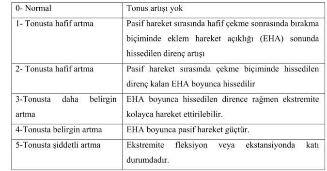 Tablo 8. Modifiye Ashworth Skalası 