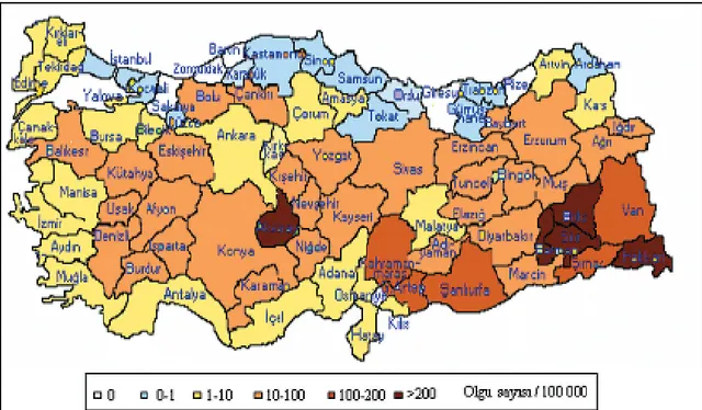 Şekil 1.1. Türkiye’de bruselloz insidansı, 2004 yılı (Yüce ve A.Çavuş 2006). 