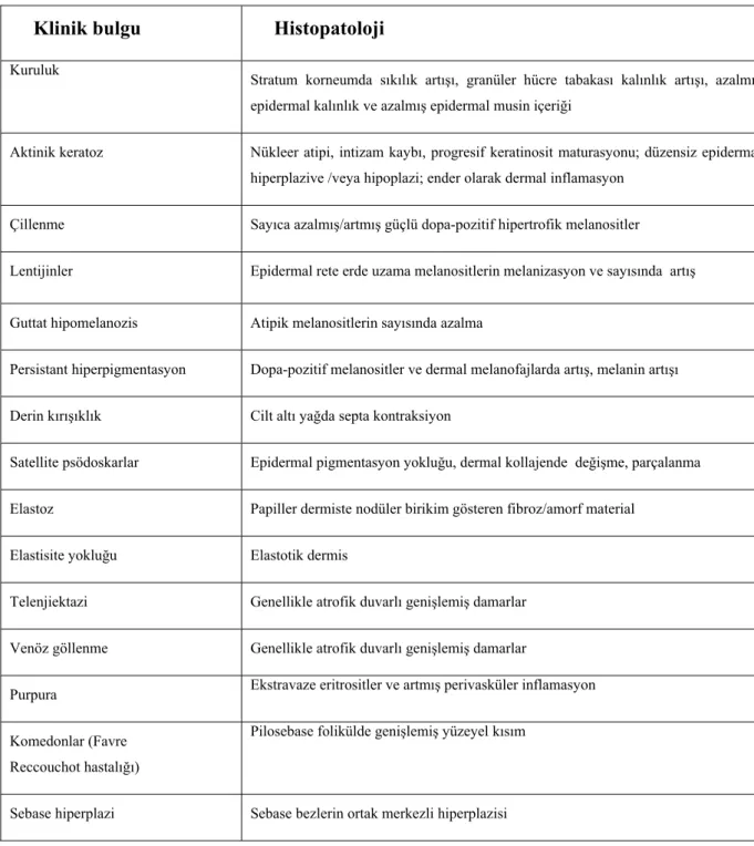 Tablo 2-3. Fotoyaşlanmada klinik ve histopatolojik bulgular  (36) 