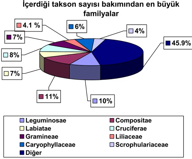 Çizelge 4.3 incelendiği zaman Türkiye Florası’nda 1. sırada olan Astragalus  cinsinin çalışma alanımızda da 1