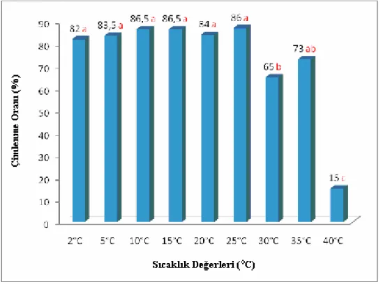 Şekil 4.1. Soda otu (Salsola kali subsp. ruthenica)’ nun minimum, optimum ve                  maksimum çimlenme sıcaklıkları 