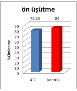 Şekil 4.2. Ön üşütme uygulamasının soda otu (Salsola kali subsp. ruthenica)                    tohumlarının çimlenmesi üzerine etkisi 