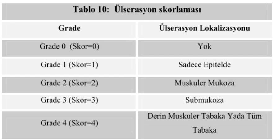 Tablo 10:  Ülserasyon skorlaması 
