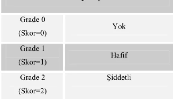 Tablo 12: İnflamasyon şiddeti skorlaması 
