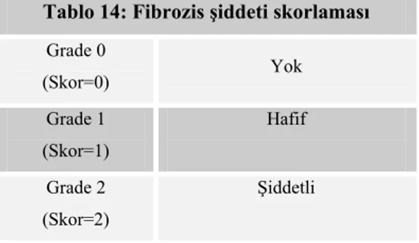 Tablo 14: Fibrozis şiddeti skorlaması  Grade 0  (Skor=0)  Yok  Grade 1  (Skor=1)  Hafif  Grade 2  (Skor=2)  Şiddetli 