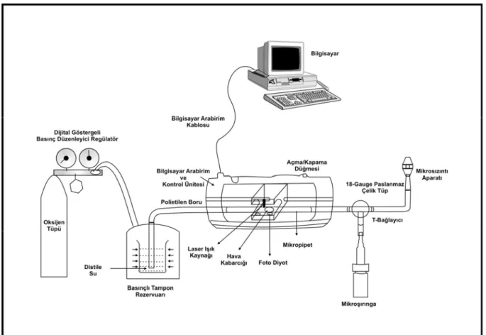 Şekil 2.1. Bilgisayar destekli sıvı filtrasyon yöntemi ile mikrosızıntı ölçüm düzeneği  (Oruçoğlu 2005) 