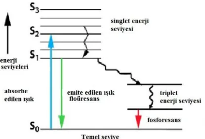 Şekil 1.11. Absorpsiyon ve flüoresansın şematik gösterimi (Tilki, 2012) 