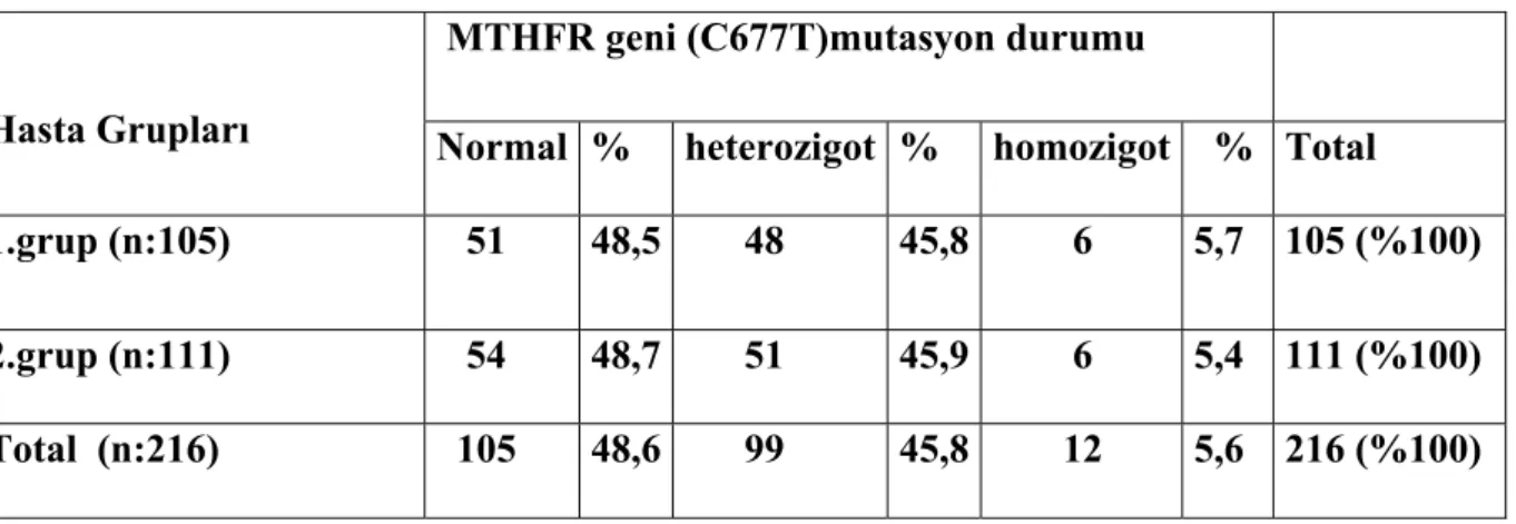 Tablo 13: MTHFR geni (C677T) bölgesine ait mutasyon dağılımları 