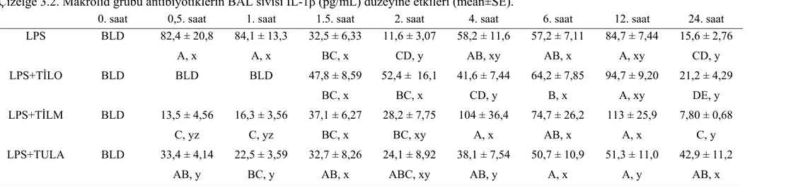 Çizelge 3.2. Makrolid grubu antibiyotiklerin BAL sıvısı IL-1β (pg/mL) düzeyine etkileri (mean±SE)