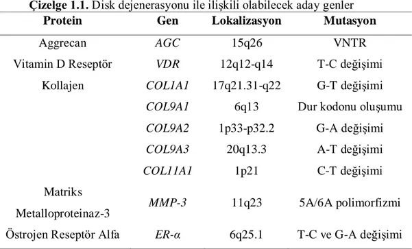 Çizelge 1.1. Disk dejenerasyonu ile iliĢkili olabilecek aday genler 