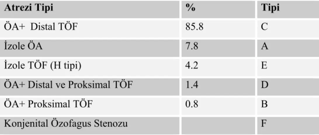 Tablo 1: Gross’un anatomik sınıflandırması 