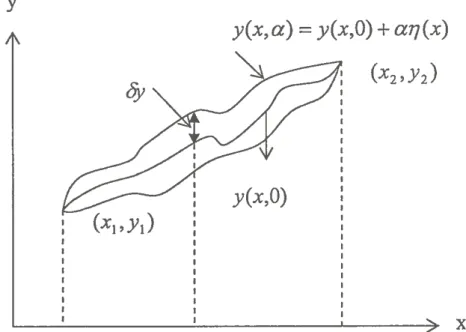 Şekil 4.1. Varyasyonel hesap yardımı ile belirlenmeye çalı ş ılan yol etrafındaki  sapmalar ve bu sapmaların  J[y(x)] fonksiyoneline etkisi