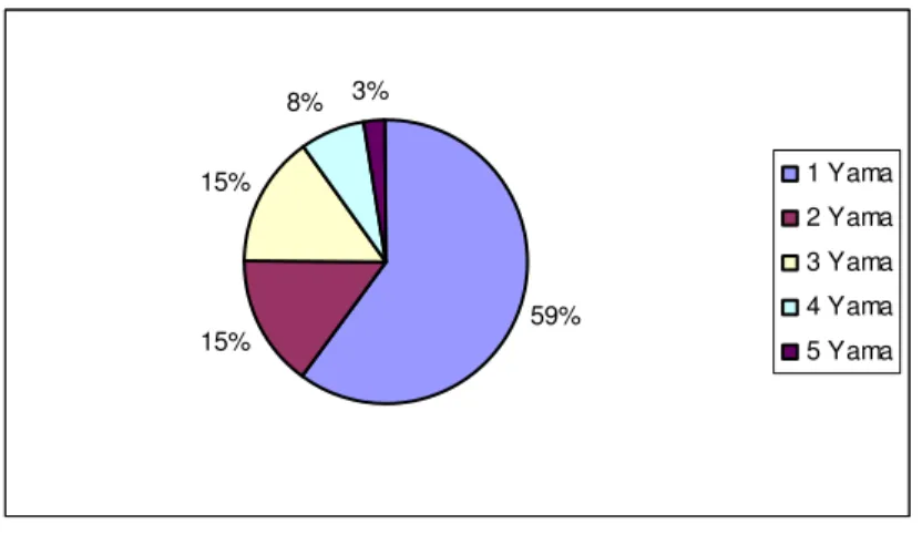 Grafik 4: Alopesi areata hastalarında lezyon sayısı 