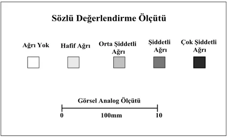 Çizelge 1.1. Sözlü Değelendirme Ölçütü ve Görsel Analog Ölçütü 