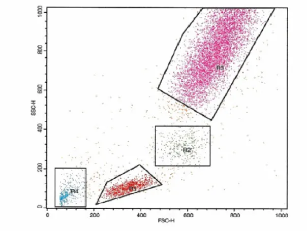 Şekil 2:Akım sitometride tam kandan izole edilen lokositlerin genel dağılımının görüntüsü
