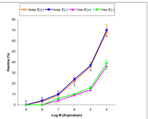 Grafik 2. Endotelli E(+) ve endotelsiz E(-) umbilikal arter ve ven halkalarında ropivakain  ile elde edilen kümülatif (10 -9 -10 -4  M; n=7) konsantrasyon-cevap eğrileri (Değerler 10 -6  M  5-HT ile alınan kasılma cevaplarının yüzdesi olarak hesaplanmıştır