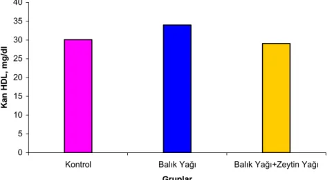 Şekil 2. Gruplara göre kan HDL kolesterol değişimleri 
