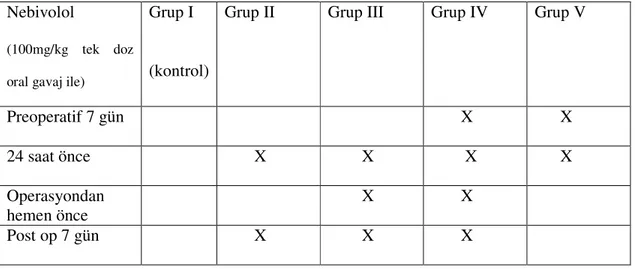 Tablo 1. Gruplar 