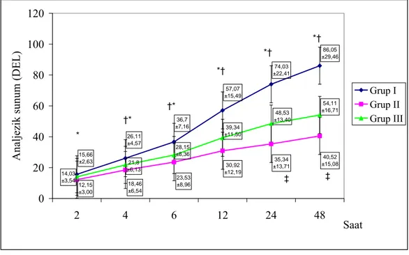 Grafik 6: Grupların HKA analjezik sunumları (DEL) (Ort ± SS) 