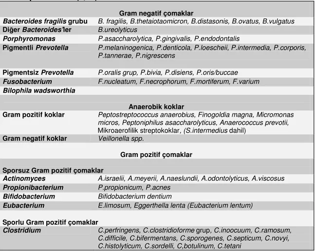 Tablo  I.  Klinik  önemi  olan  ve/veya  klinik  örneklerden  sıklıkla  izole  edilen  anaerop bakteriler (7,11)