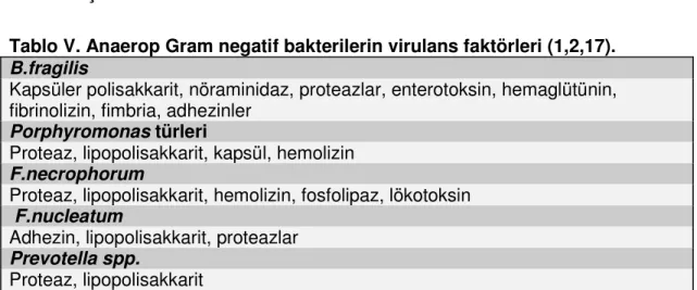 Tablo V. Anaerop Gram negatif bakterilerin virulans faktörleri (1,2,17).  
