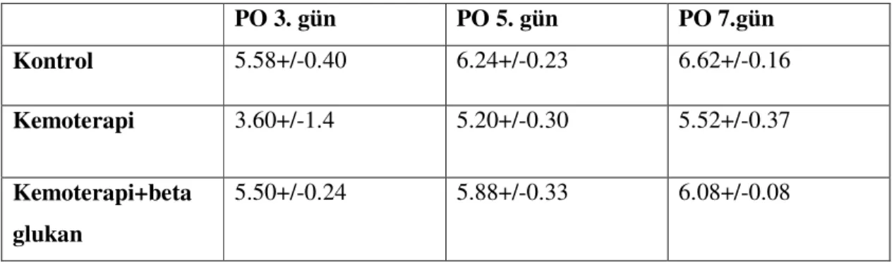 Tablo 7: Grupların serum total protein değerleri. 