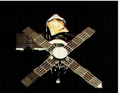 Şekil 2.2. Skylab Uydusu (http://www.altimetry.info/). 