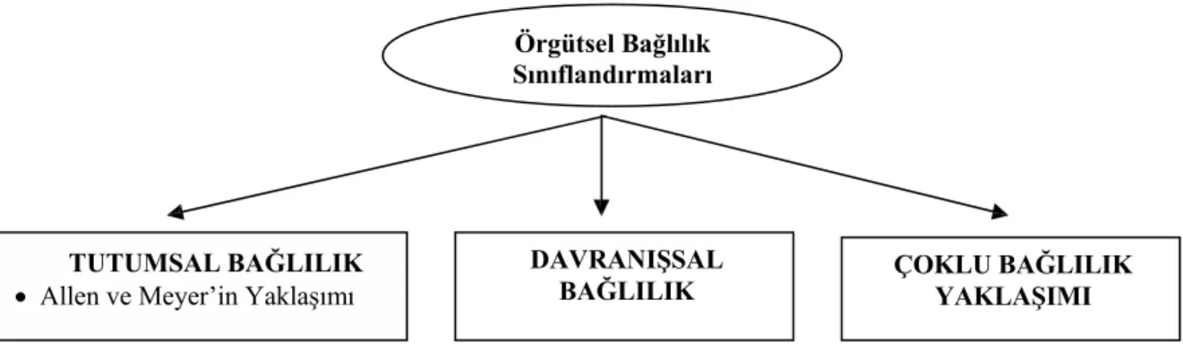 Şekil 2.1. Örgütsel Bağlılık Sınıflandırmaları 